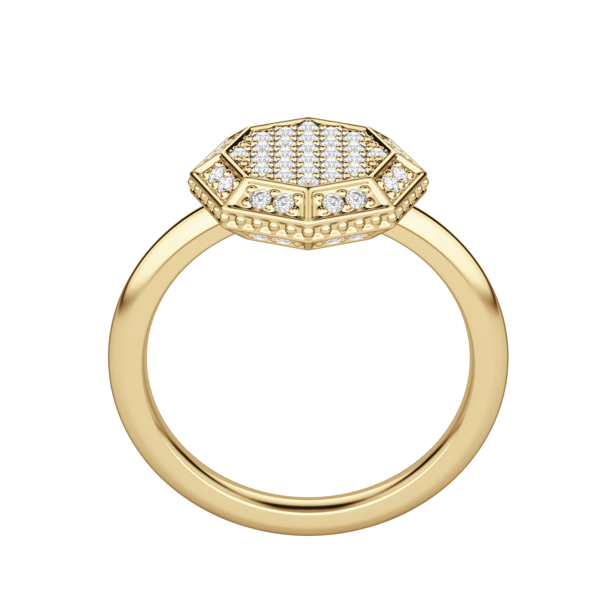 Round cut Lab Diamond Octagon Pave Ring